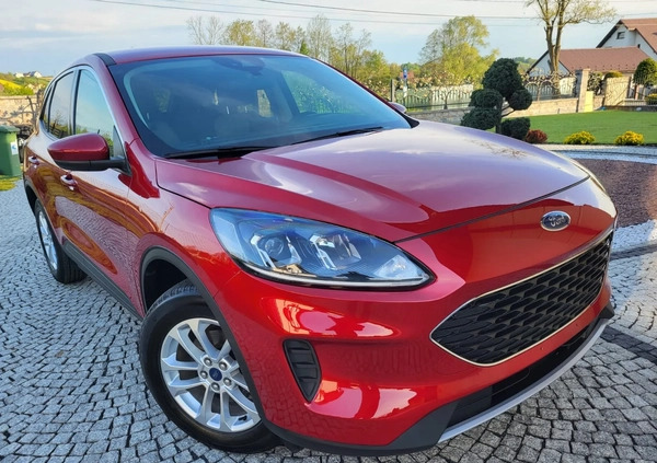 Ford Kuga cena 81900 przebieg: 26000, rok produkcji 2021 z Tarnów małe 436